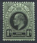 Наталь 1908-1909 гг. • Gb# 166 • 1 sh. • Эдуард VII • стандарт • MLH OG VF ( кат.- £ 8 )