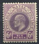 Наталь 1908-1909 гг. • Gb# 165 • 6 d. • Эдуард VII • стандарт • MLH OG XF ( кат.- £ 5 )