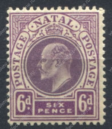 Наталь 1908-1909 гг. • Gb# 165 • 6 d. • Эдуард VII • стандарт • MH OG VF ( кат.- £ 5 )