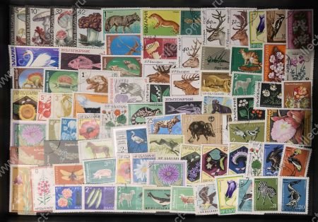 Болгария • Фауна и флора • набор 180+ разных старых марок • Used VF