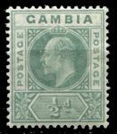 Гамбия 1904-1906 гг. • Gb# 57 • ½ d. • Эдуард VII • стандарт • MH OG VF ( кат.- £ 5 )