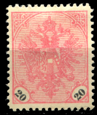 Босния и Герцеговина 1901-1904 гг. • SC# 25 • 20 h. • 3-й выпуск (черные цифры) • герб • MNG VF