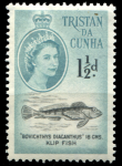 Тристан да Кунья 1960 г. • GB# 30 • 1½ d. • Елизавета II • осн. выпуск • рыба клип • MNH OG XF