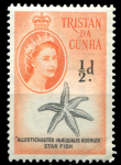 Тристан да Кунья 1960 г. • GB# 28 • ½ d. • Елизавета II • осн. выпуск • морская звезда • MNH OG XF