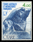Французские Южные и Антарктические территории 1977-1979 гг. • SC# C47 • 4.00 fr. • фауна Антарктики • морской лев • MNH OG XF ( кат.- $ 4 )
