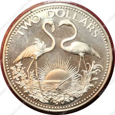 Багамы 1976 г. • KM# 66a • 2 доллара • фламинго • герб островов • серебро 925 - 29.8 гр. • регулярный выпуск • MS BU пруф