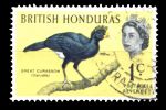 Британский Гондурас 1962 г. • Gb# 202 • 1 c. • птицы • большой кракс • Used F-VF