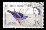 Британский Гондурас 1962 г. • Gb# 203 • 2 c. • птицы • красноногая танагра-медосос • Used F-VF