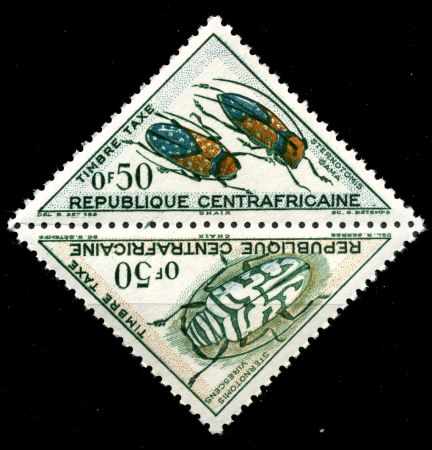 Центральноафриканская Республика 1962 г. SC# J2a • 0.50 fr.(2) • жуки • служебный выпуск • пара • MNH OG VF