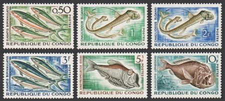 Народная Республика Конго 1961 г. Sc# 96-101 • 50 c. - 10 fr. • рыбы • полн. серия • MNH OG XF