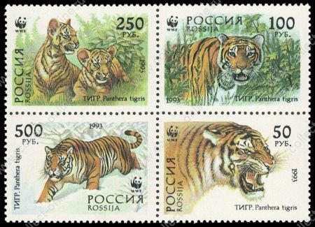 Россия 1993 г. • СК# 124-7 • 50 - 500 руб. • Уссурийские тигры • сцепка 4 марки • MNH OG XF ( кат. - ₽ 120 )