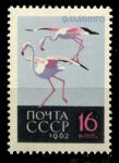 СССР 1962 г. • Сол# 2794 • 16 коп. • Птицы • фламинго • MNH OG VF