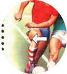 СССР 1981 г. • Сол# 5200v • 6 коп. • Спорт в СССР • футбол • 2!  разновидности! • кв. блок • MNH OG XF+