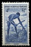 Французская Западная Африка 1947 г. • Iv# 36 • 4 fr. • осн. выпуск • рубка пальмовых листьев • MH OG VF