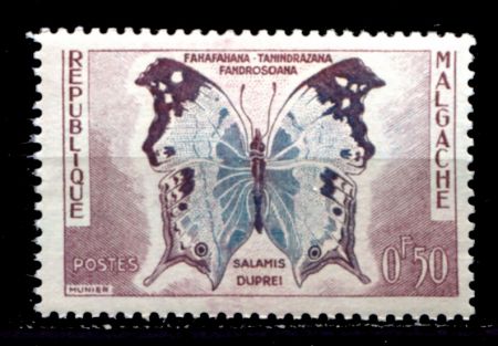 Мадагаскар 1960 г. • SC# 308 • 0.50 fr. • Природа острова • бабочка • MNH OG VF