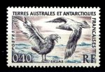 Французские Южные и Антарктические территории 1959 г. • SC# 13 • 0.40 fr. • Фауна Антарктики • чайки • MNH OG VF