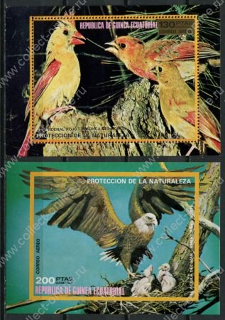 Экваториальная Гвинея 1975 г. • SC# 76128-9 • 130 и 200 pt. • Экзотические птицы Сев. Америки • 2 блока • MNH OG XF
