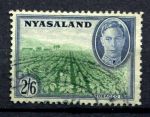 Ньясаленд 1945 г. • GB# 154 • 2s.6d. • Георг VI • осн. выпуск • Used F-VF ( кат. - £7 ) 