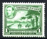 Британская Гвиана 1938-1952 гг. • Gb# 308a • 1 c. • Георг VI • осн. выпуск • обработка рисовой плантации • MNH OG VF