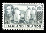 Фолклендские о-ва 1938-1950 гг. • Gb# 160 • 2s.6d. • Георг VI • основной выпуск • пингвины • MNH OG XF (кат. - £60)