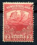 Ньюфаундленд 1919 г. • Gb# 131 • 2 c. • Военный выпуск • северный олень(Карибу) • Mint NG VF ( кат.- £ 3 ) 