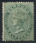 Бермуды 1893-1904 гг. • Gb# 21a • ½ d. • Виктория • стандарт • MH OG VF ( кат. - £5 )
