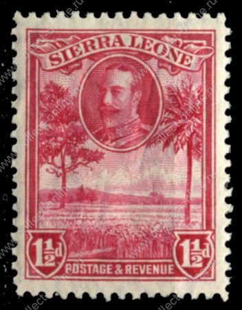 Сьерра-Леоне 1932 г. • Gb# 157 • 1½ d. • Георг V основной выпуск • рисовая плантация • MNH OG VF