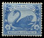 Австралия • Западная Австралия 1898-1907 гг. • Gb# 114 • 2½ d. • лебедь • MH OG VF ( кат.- £15 )