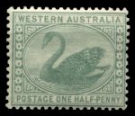 Австралия • Западная Австралия 1885-1893 гг. • Gb# 94a • ½ d. • лебедь • MH OG VF ( кат.- £5 )