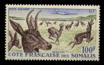 Берег Сомали 1958 г. • Iv# A26 • 100 fr. • Фауна Африки • газель • MNH OG XF ( кат. - €11 )