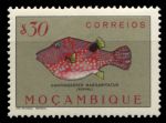 Мозамбик 1951 г. SC# 336 • 30 c. • Рыбы • Остроносый иглобрюх • MNH OG XF