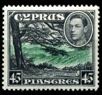 Кипр 1938-51 гг. • Gb# 161 • 45 pi. • Георг VI основной выпуск • ель в лесу • MH OG XF ( кат.- £50 )