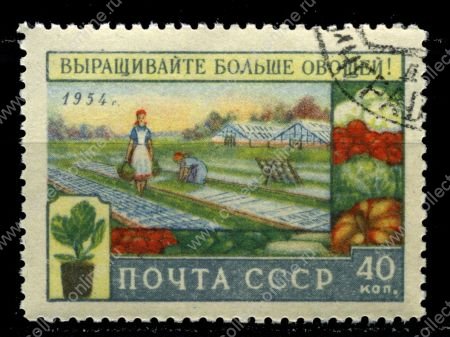 СССР 1954 г. Сол# 1777 • Развитие сельского хозяйства • 2-й выпуск • 40 коп. • Уборка овощей • Used(ФГ) VF - XF