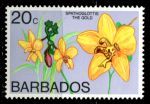Барбадос 1974-1977 гг. • Sc# 404С • 20 с. • цветы (1-й выпуск) • орхидея спатоглоттис • MNH OG VF ( кат.- $6 )