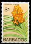 Барбадос 1974-1977 гг. • Sc# 408 • $1 • цветы (1-й выпуск) • орхидея аскоценда • MNH OG VF ( кат.- $11 )