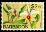 Барбадос 1974-1977 гг. • Sc# 409 • $2.50 • цветы (1-й выпуск) • орхидеи • MNH OG VF ( кат.- $3 )