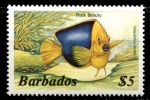 Барбадос 1985-1988 гг.(1985) • Sc# 658 • $5 • Морская фауна • тропическая рыба • MNH OG VF ( кат.- 11 )