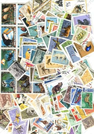 Фауна(животные, птицы, рыбы, насекомые, ...) • набор 275+ разных марок • VF