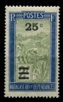 Мадагаскар 1932 г. • Iv# 188 • 25 c. на 2 fr. • осн. выпуск • путешественник в кресле-носилках • надпечатка нов. номинала • MH OG F-VF