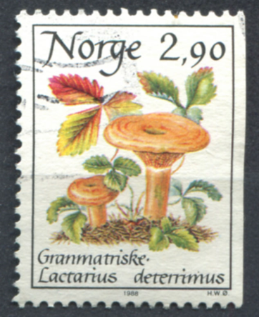 Норвегия 1987 - 1989 гг. • SC# 887 • 2.90 kr. • Съедобные грибы • рыжики • Used F-VF