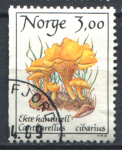 Норвегия 1987 - 1989 гг. • SC# 888 • 3 kr. • Съедобные грибы • лисички • Used F-VF