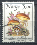 Норвегия 1987 - 1989 гг. • SC# 889 • 3 kr. • Съедобные грибы • маслята • Used F-VF