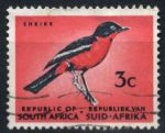 Южная Африка 1967-71 гг. Sc# 331 • 3 c. • осн. выпуск • птица(сорокопут) • Used VF