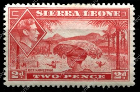 Сьерра-Леоне 1938-1944 гг. • Gb# 191a • 2 d. • Георг VI • основной выпуск • уборка риса • MH OG VF