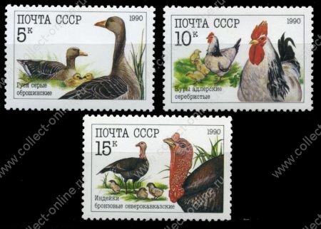 СССР 1990 г. Сол# 6223-5 • Домашние птицы • MNH OG XF • полн. серия