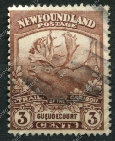 Ньюфаундленд 1919 г. • Gb# 132 • 3 c. • основной выпуск • Военный выпуск • северный олень(Карибу) • Used F-VF ( кат.- £ 1,25 )