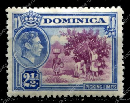 Доминика 1938-1947 гг. • Gb# 103 • 2½ d. • Георг VI • основной выпуск • сбор лимонов • MH OG VF ( кат.- £ 6,5 )