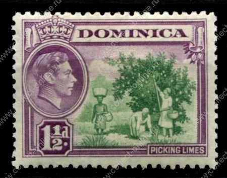 Доминика 1938-1947 гг. • Gb# 101 • 1½ d. • Георг VI • основной выпуск • сбор лимонов • MH OG VF