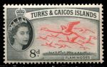 Теркс и Кайкос 1957 г. • Gb# 245 • 8 d. • Елизавета II основной выпуск • фламинго • MNH OG XF ( кат. - £3.5 )