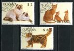 Гайана 1987 г. • $2 • домашние животные • кошки ( 3 марки ) • Used(ФГ) XF